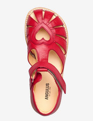 ANGULUS - Sandals - flat - closed toe -  - remmisandaalit - 1412 red - 3