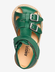 ANGULUS - Sandals - flat - closed toe - - remmisandaalit - 1417 green - 3