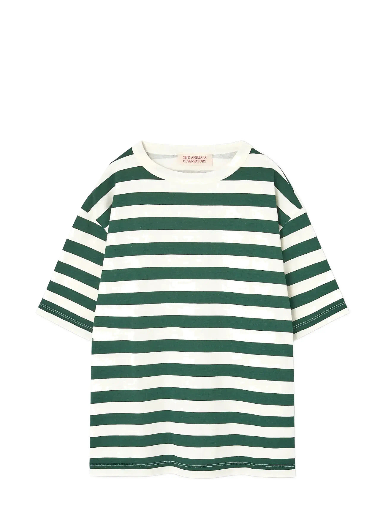 THE ANIMALS OBSERVATORY Stripes Freen Collie T-Shirt Grün - 14 Y - Kinder