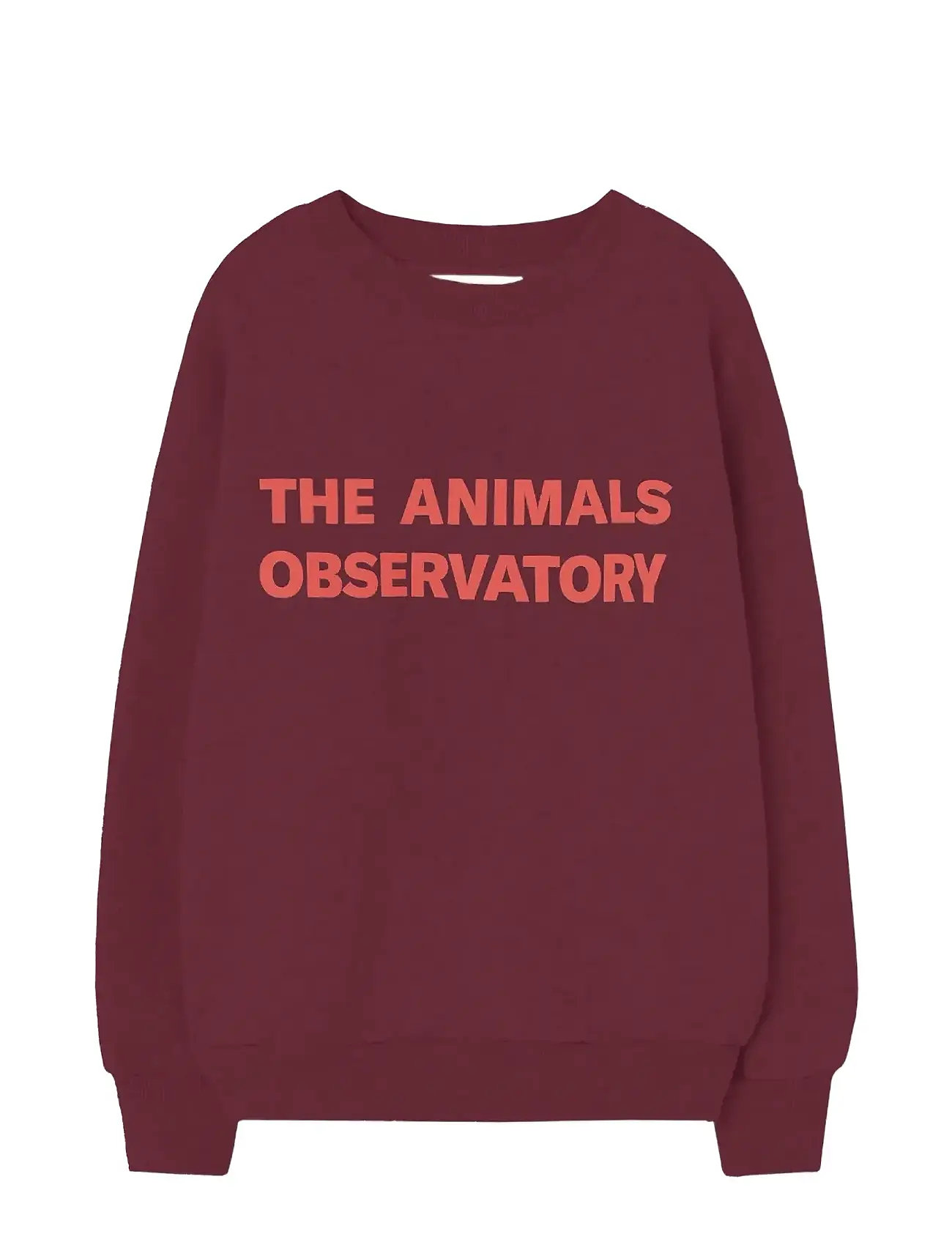 THE ANIMALS OBSERVATORY Browned Farnet Leo Sweatshirt Burgundy - 4 Y - Kinder