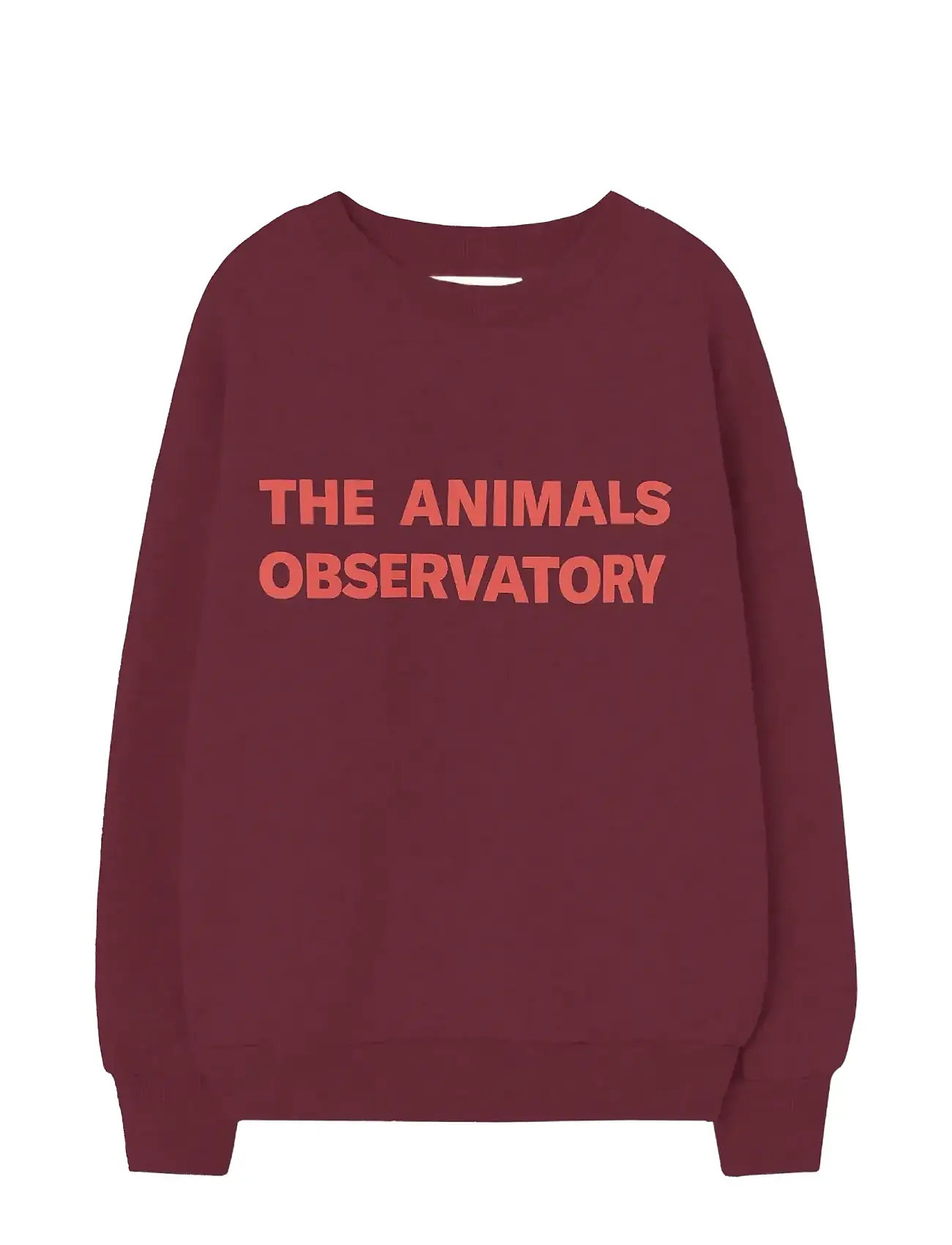 THE ANIMALS OBSERVATORY Browned Farnet Leo Sweatshirt Burgundy - 6 Y - Kinder