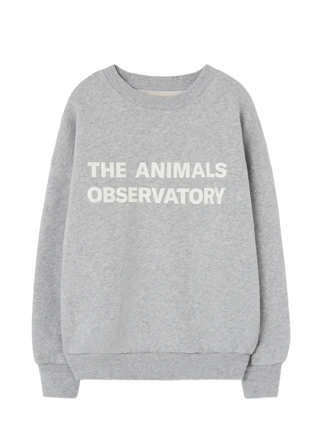 THE ANIMALS OBSERVATORY Frey Leo Sweatshirt, 4 Y, Grey, Sweatshirts & Hættetrøjer > Sweatshirts, Børn