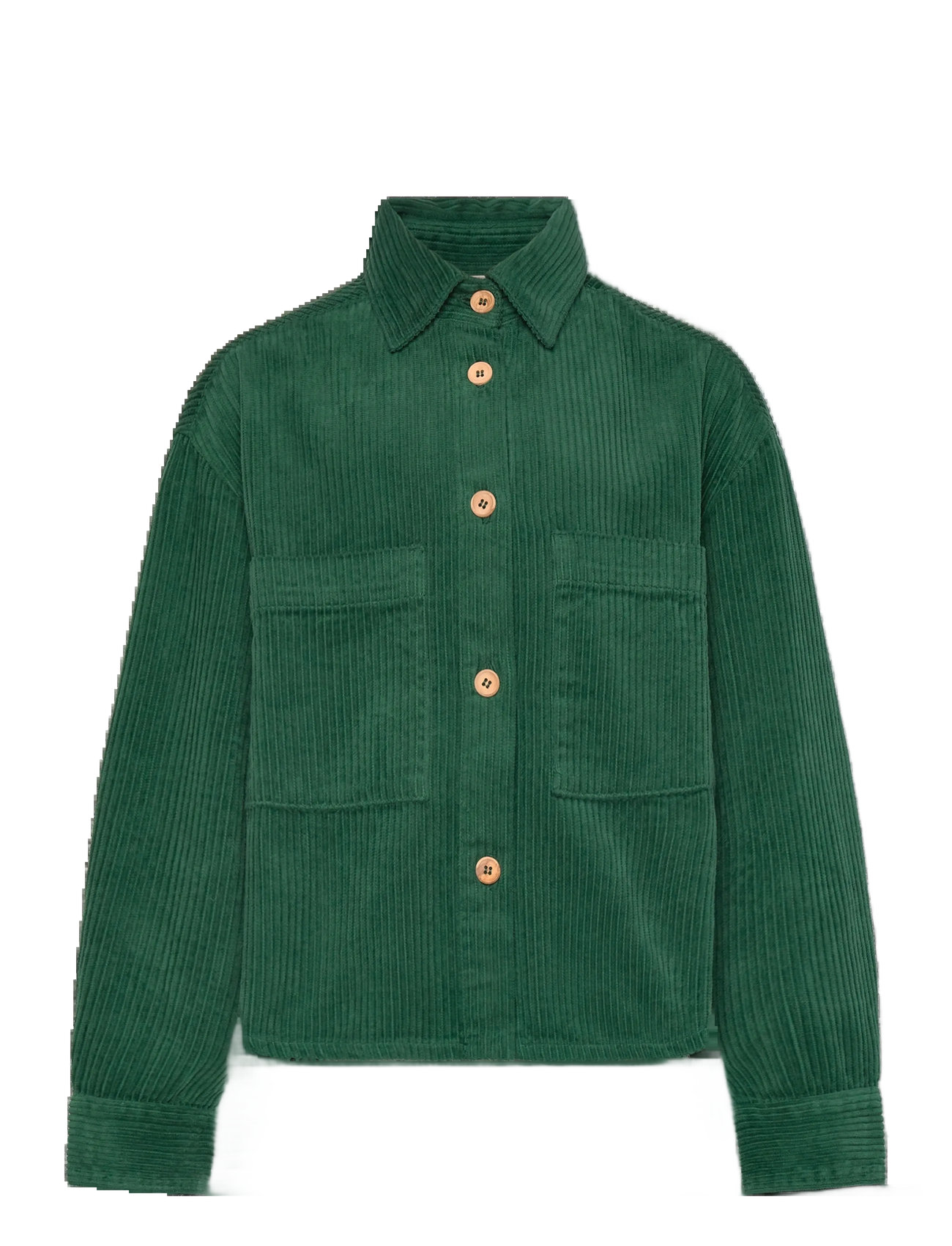 THE ANIMALS OBSERVATORY Freen Beabull Shirt Grün - 8 Y - Kinder