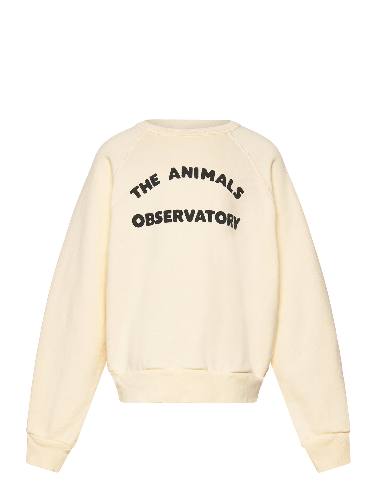 THE ANIMALS OBSERVATORY Shark Kid Sweatshirt Weiß Logo Cream - 10 Y - Kinder