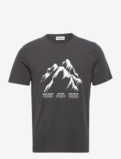 JAAMES HIGHEST MOUNTAIN - t-shirts mit druck - graphite