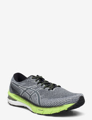 Asics - GT-2000 10 - running shoes - carrier grey/white - 0