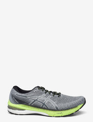 Asics - GT-2000 10 - running shoes - carrier grey/white - 1