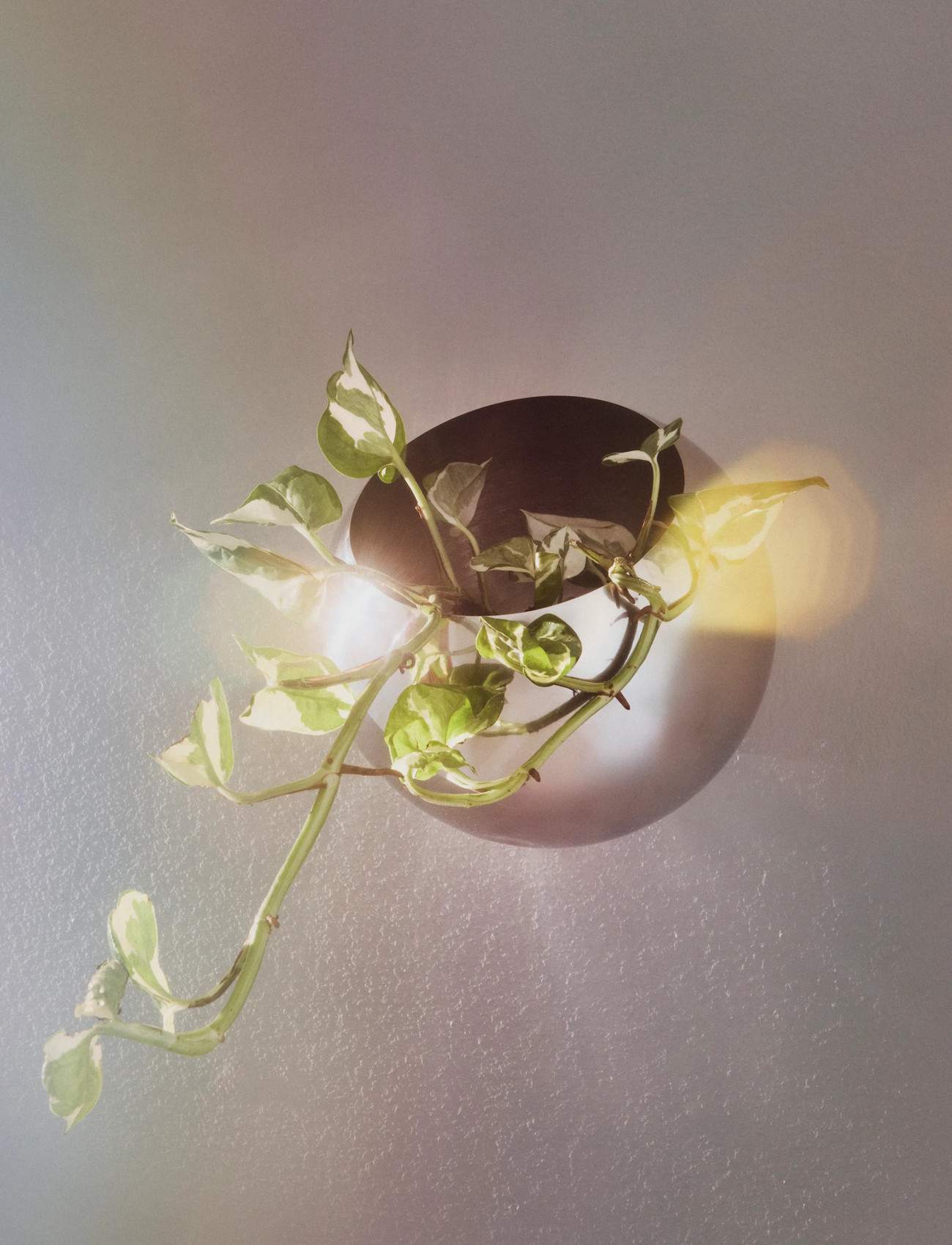 AYTM Globe Vægblomsterpotte, Ø17XH15.4 cm, Silver, Dekoration > Blomsterpotter, Unisex