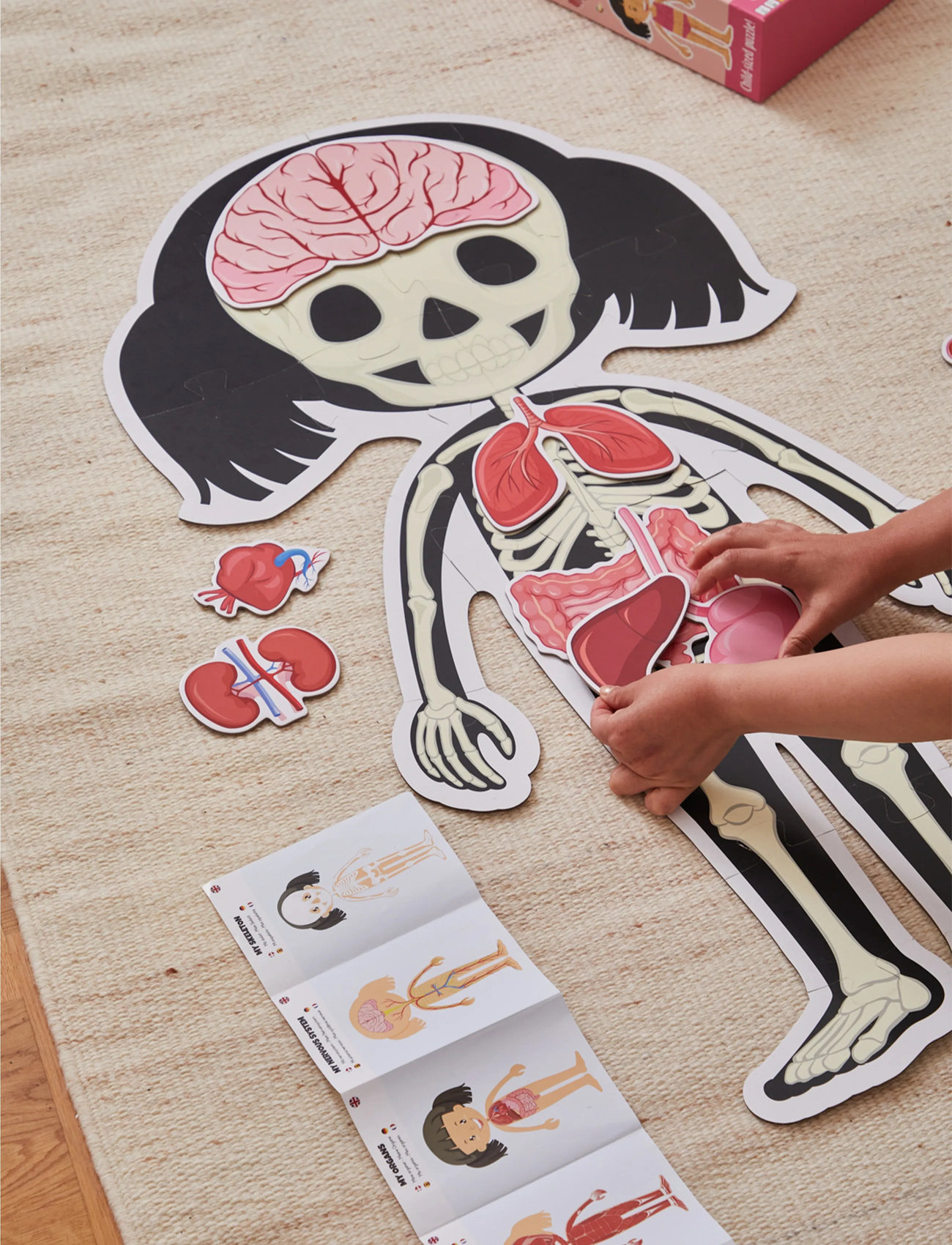 Barbo Legetøj Body Puzzle - Girl - Floor Puzzle, One Size, Multi/patterned, Spil > Pædagogiske Spil, Børn