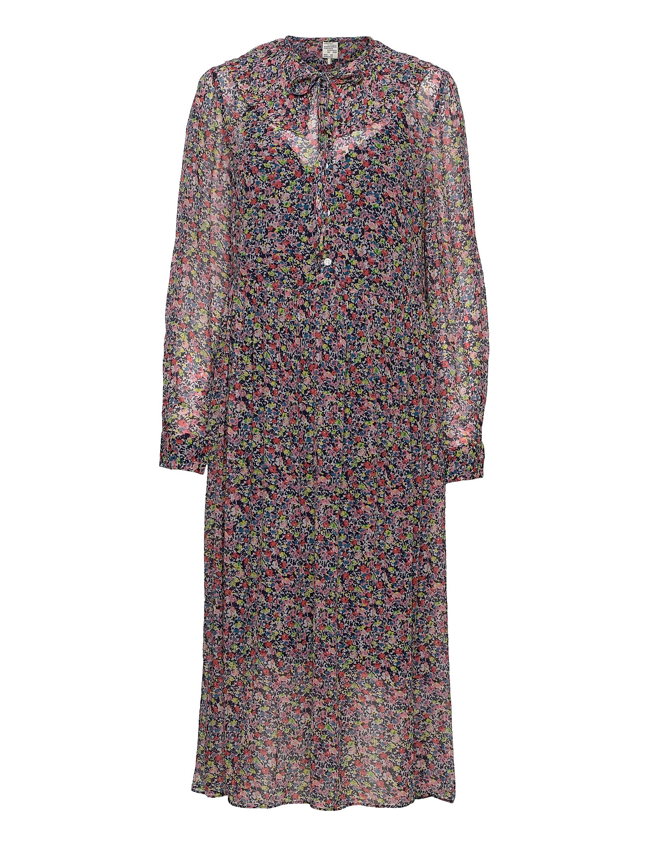 Amaira Blue Baum Und Pferdgarten 102338