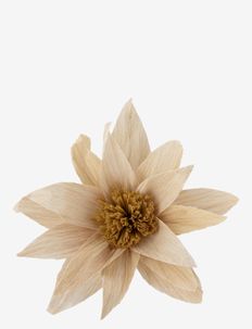 Portia Deco Flower - getrocknete blumen - nature