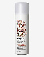 Briogeo - Ginseng + Biotin Volumizing Shampoo - shampoo - clear - 0