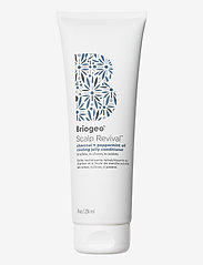Briogeo - Charcoal + Peppermint Oil Cooling Jelly Conditioner - balsam - clear - 0