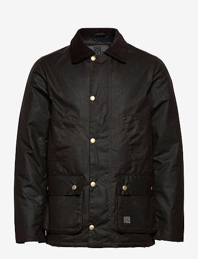 Curtis - padded jackets - brown