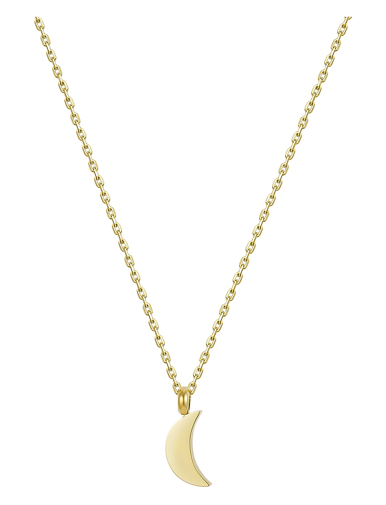 Bud To Rose Moon Necklace Gold Guld