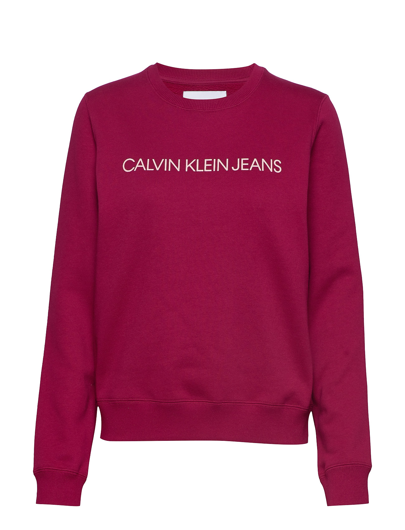 calvin klein jeans institutional hoodie