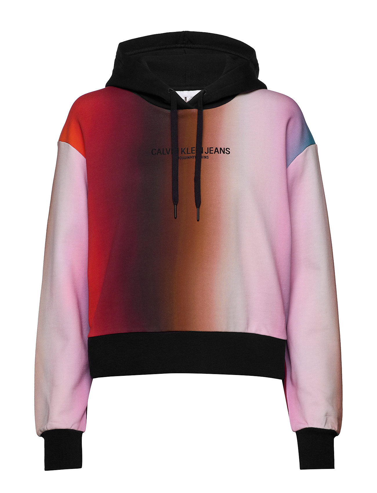 calvin klein rainbow hoodie