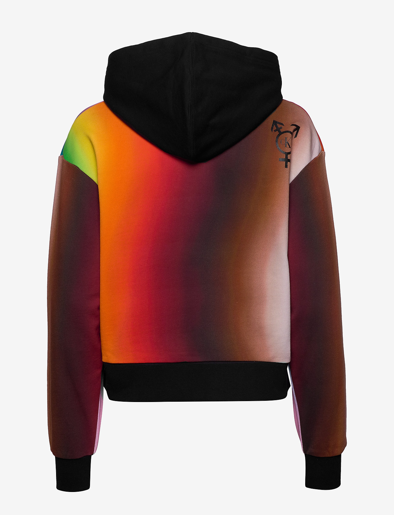 calvin klein rainbow hoodie