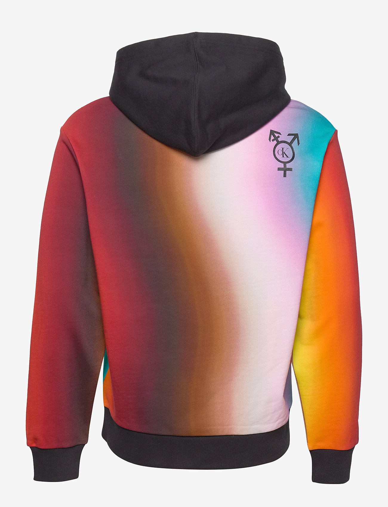 calvin klein rainbow hoodie