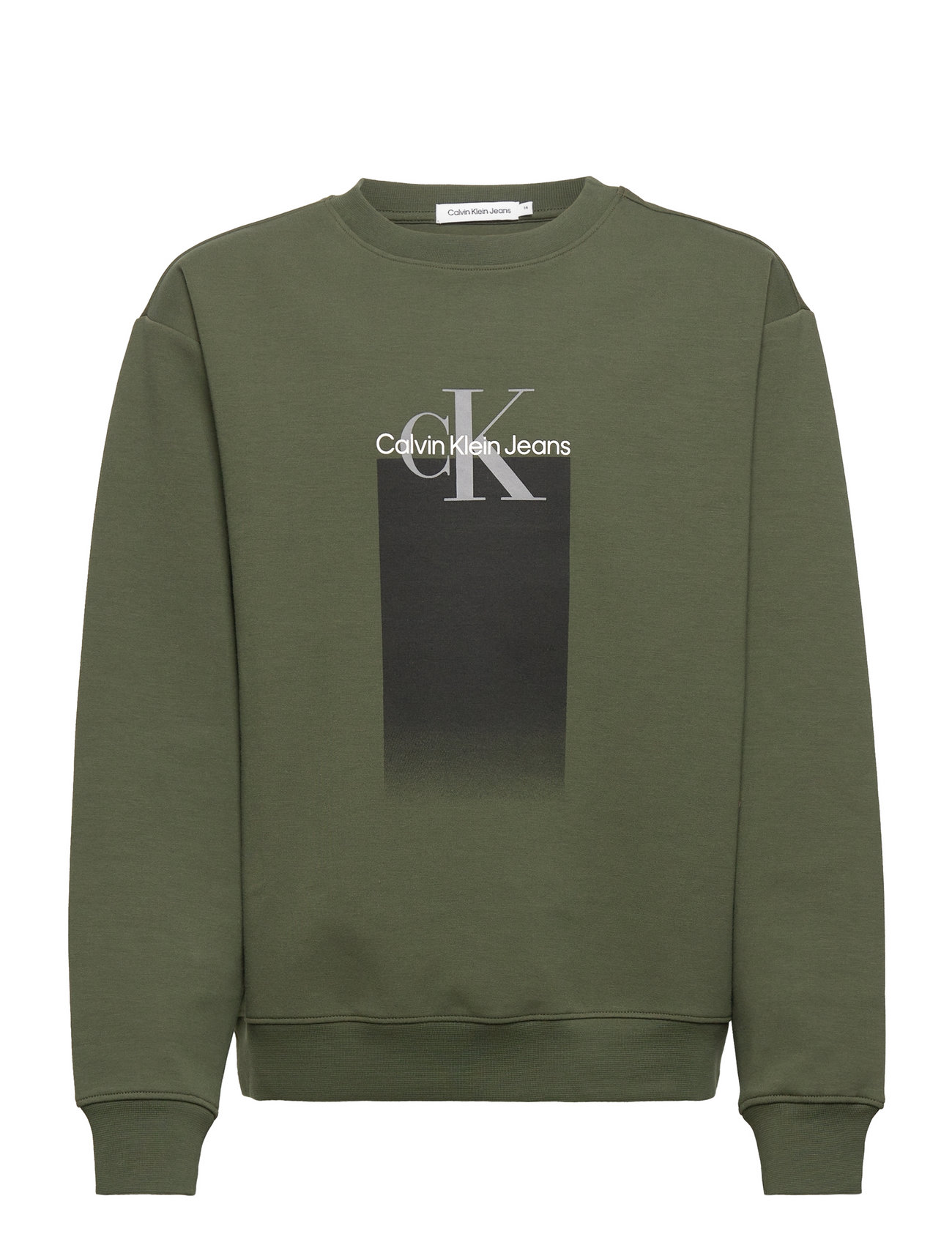 Calvin Klein Gradient Logo Sweatshirt 