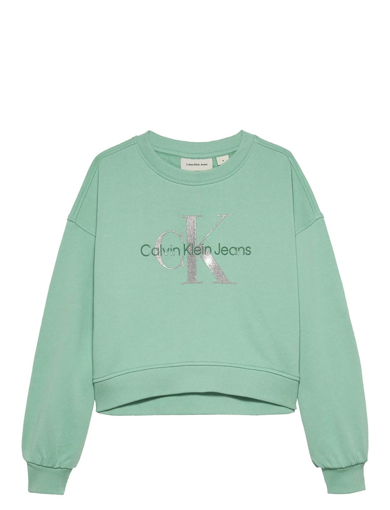 CALVIN KLEIN Glitter Monologo Cn Sweatshirt Grün - 164 - Kinder