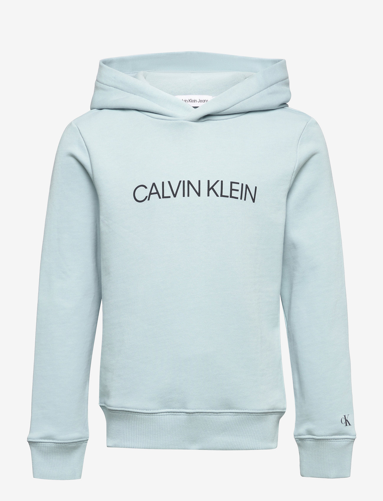 Calvin Klein - INSTITUTIONAL LOGO HOODIE - hoodies - muted aqua - 0