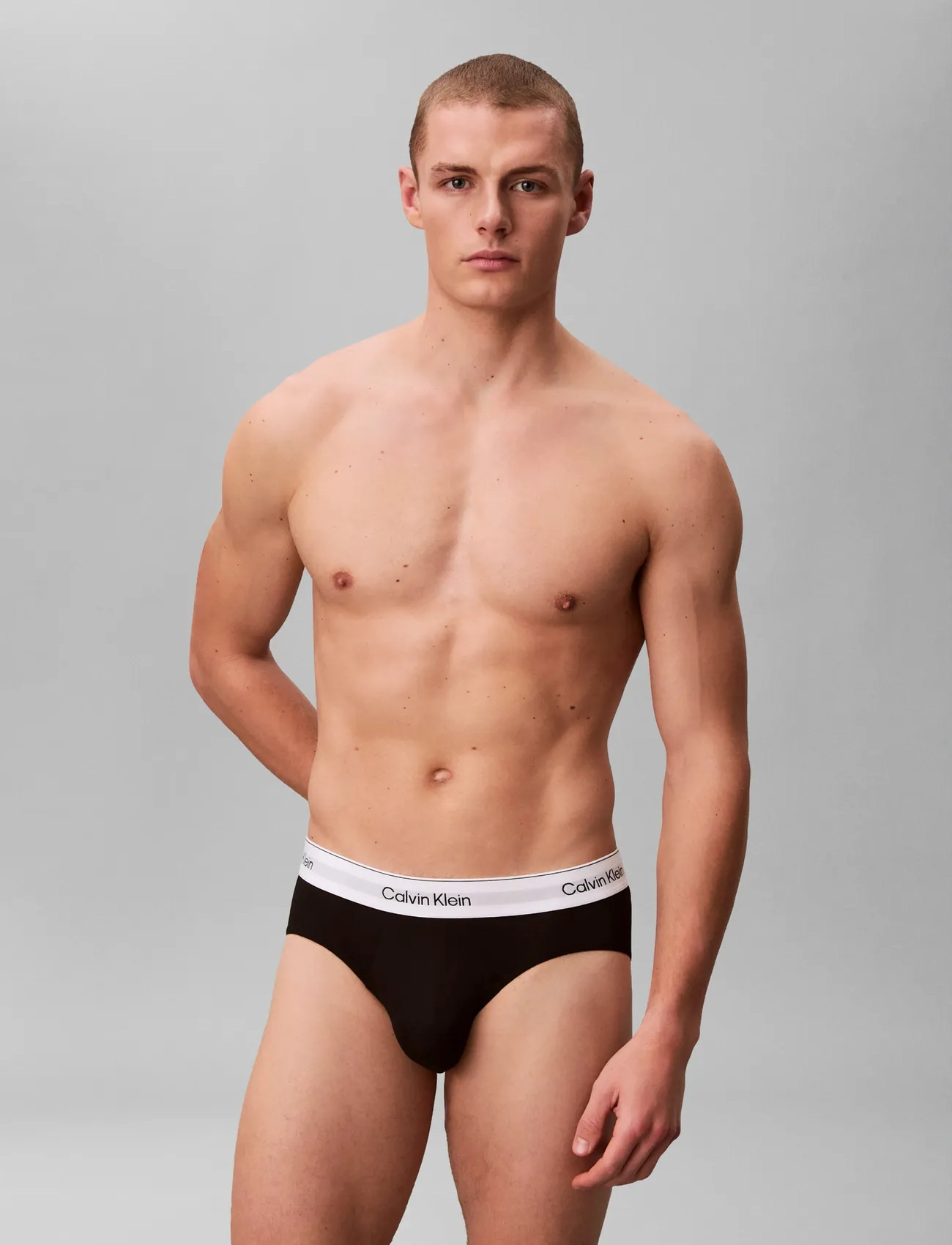 Calvin Klein Hip Brief 3Pk, L, Black, Undertøj > Trusser, Herre