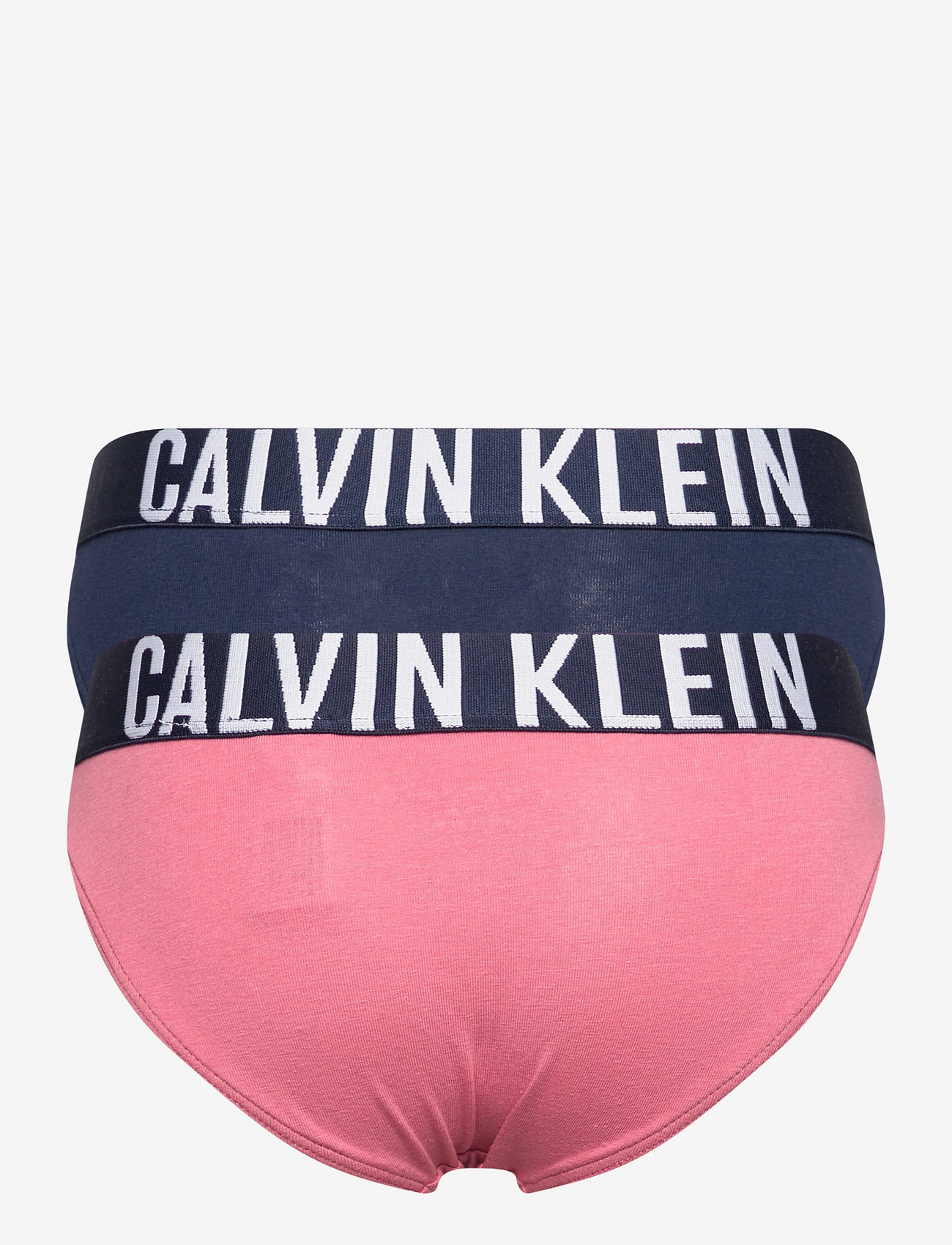 Calvin Klein - 2PK BIKINI - socks & underwear - petalred/navyiris - 1