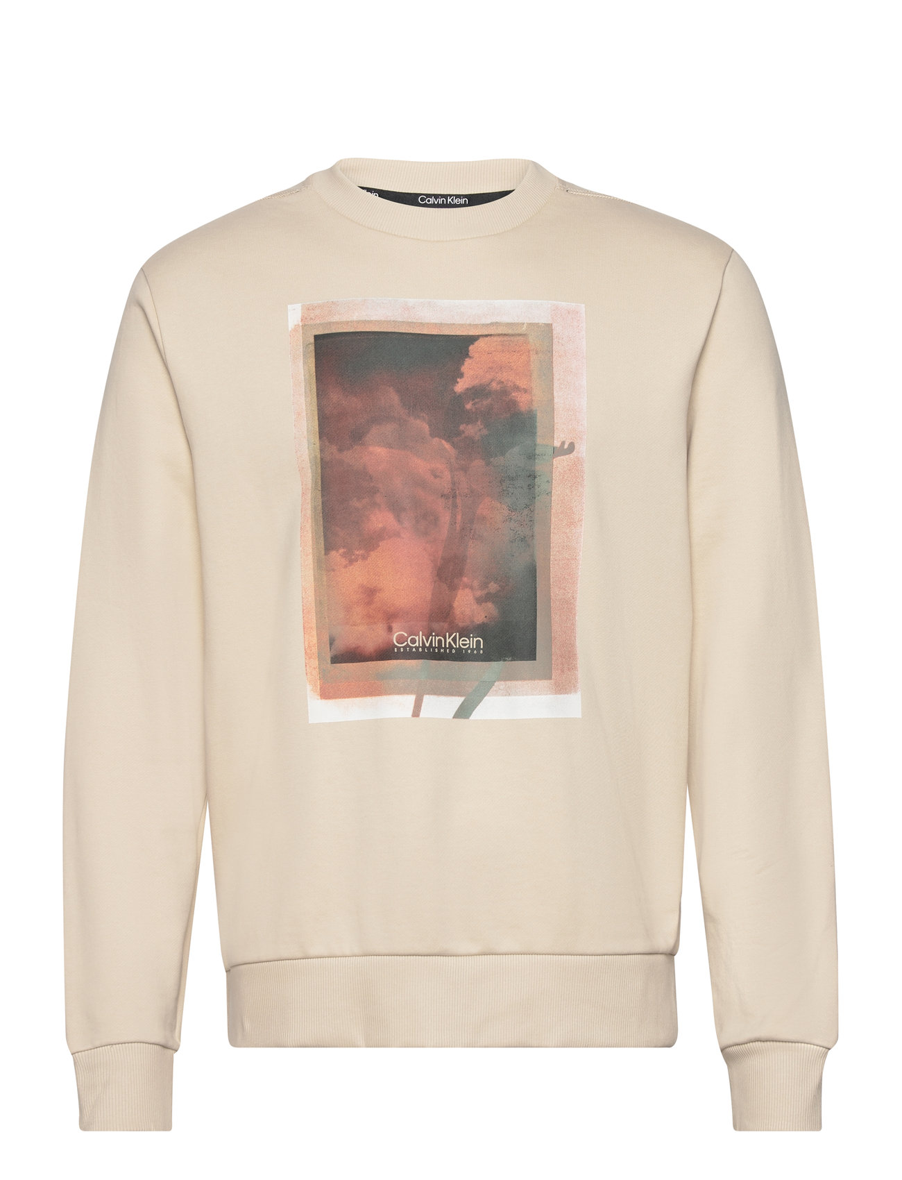 Photo Print Sweatshirt Tops Sweat-shirts & Hoodies Sweat-shirts Beige Calvin Klein