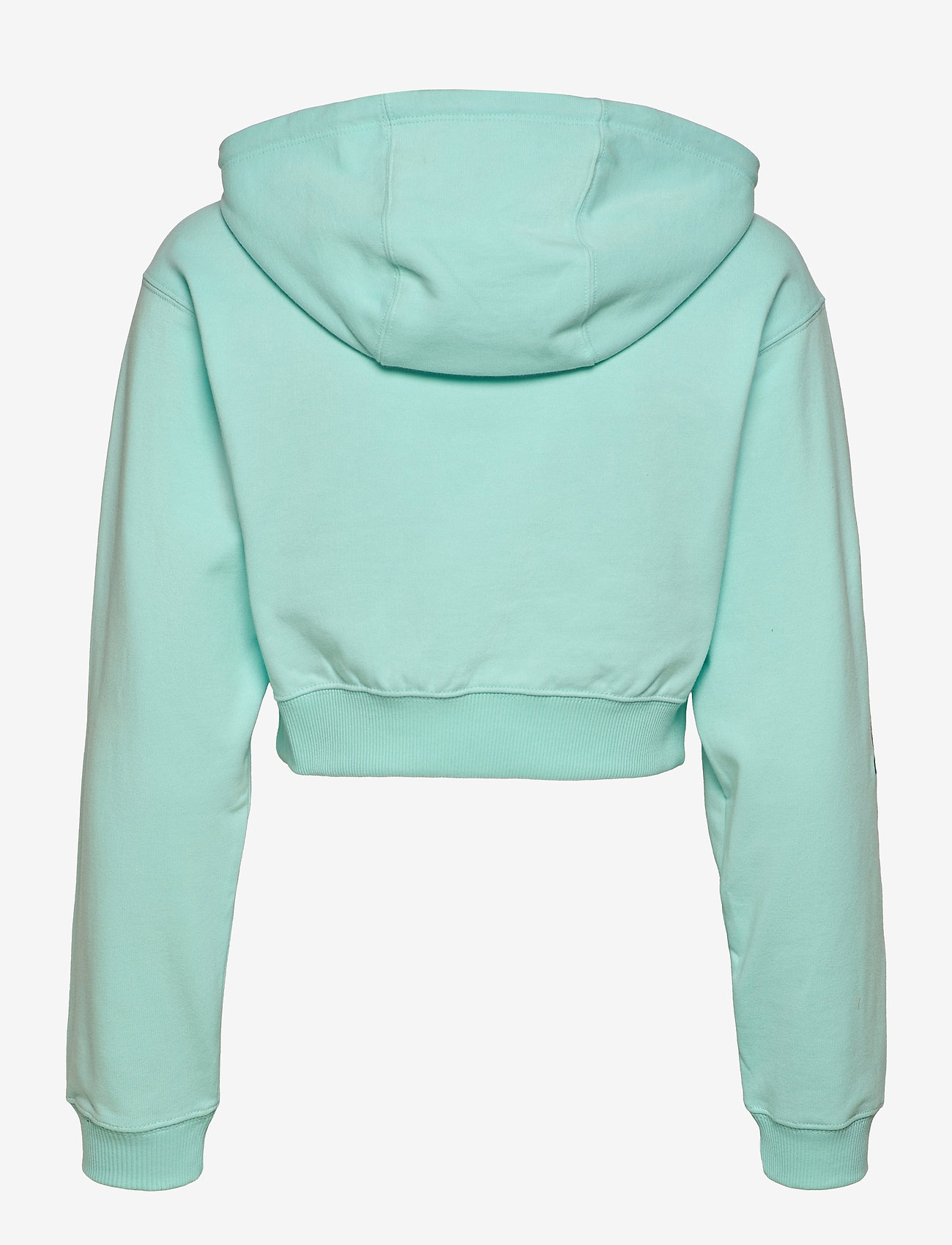 champion drawstring hoodie