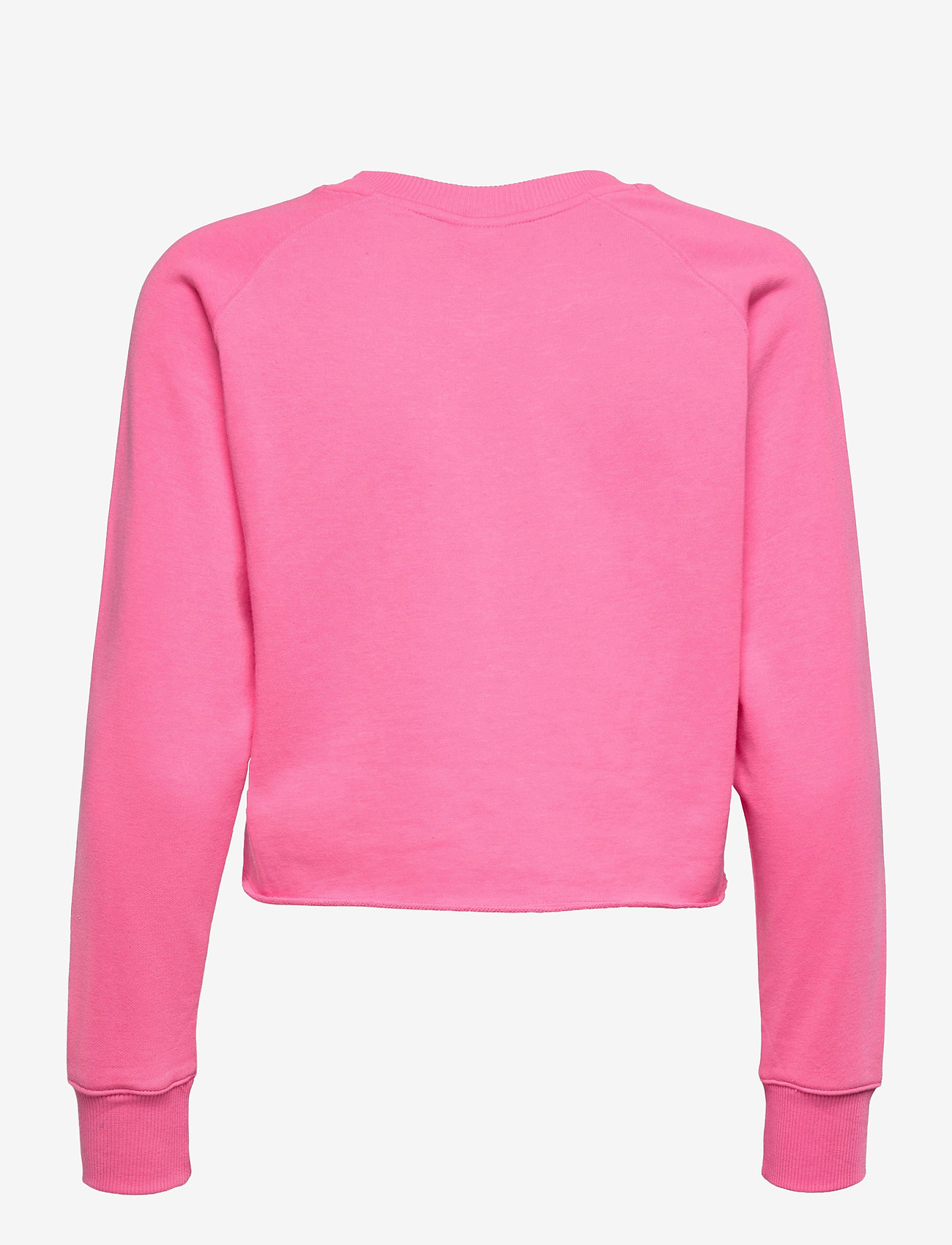 champion sweater crop top 80