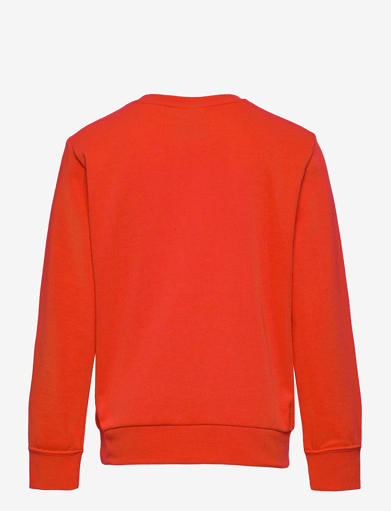 champion sweater wool 99