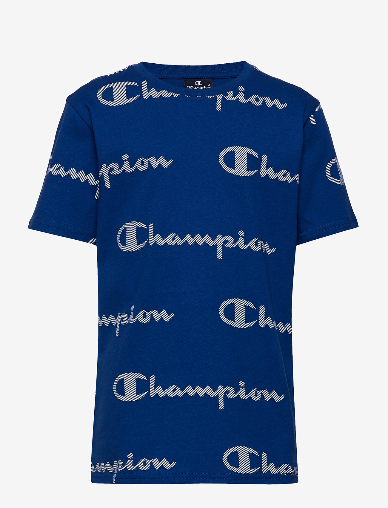 champion crewneck light blue