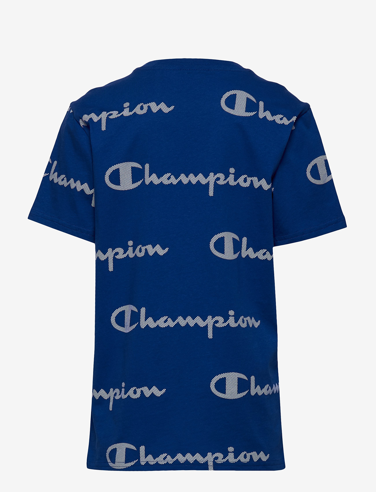 champion blue crew neck