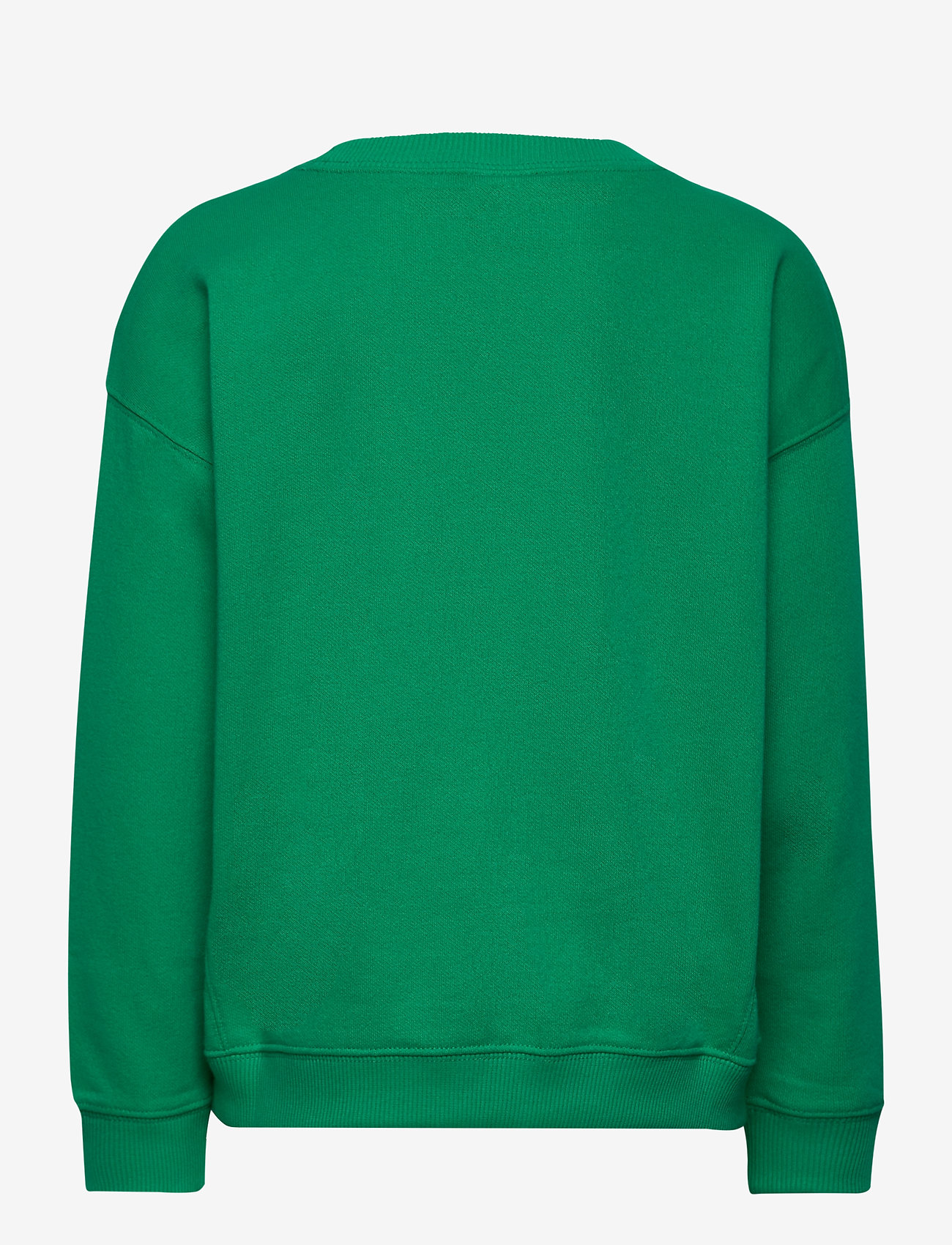 champion sweatshirt mint green