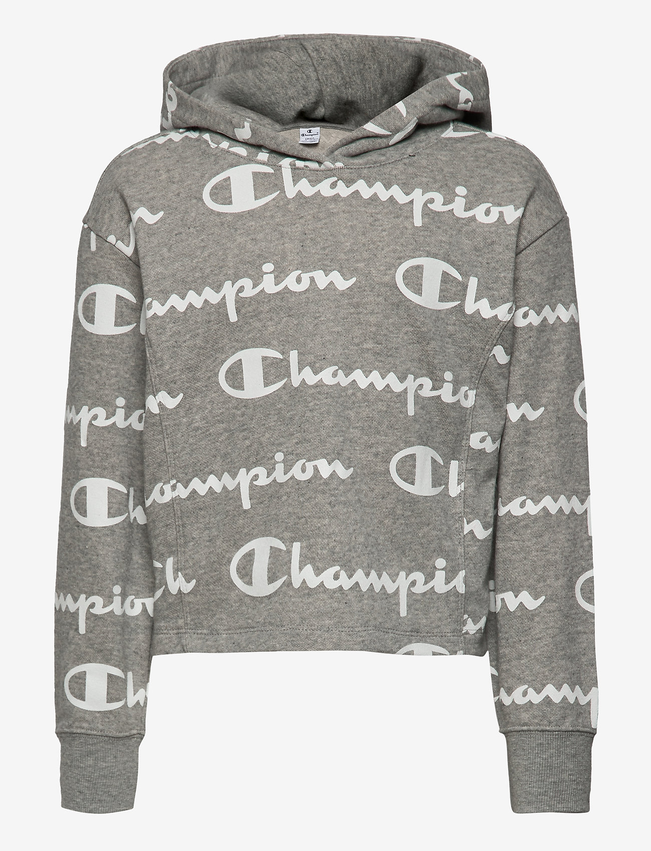 champion sweat hoodie