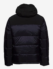 champion hooded jacket