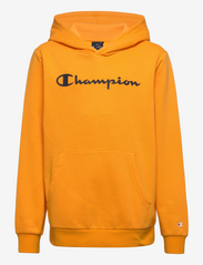 Hooded Sweatshirt - RADIANT YELLOW