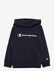 Hooded Sweatshirt - SKY CAPTAIN