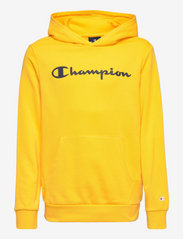 Hooded Sweatshirt - LEMON CHROME