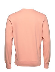 coral champion crewneck