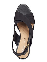dalia lotus clarks