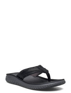 clarks collection flip flops