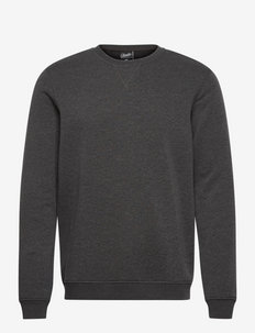 Claudio sweatshirt - truien - ljusgrå me
