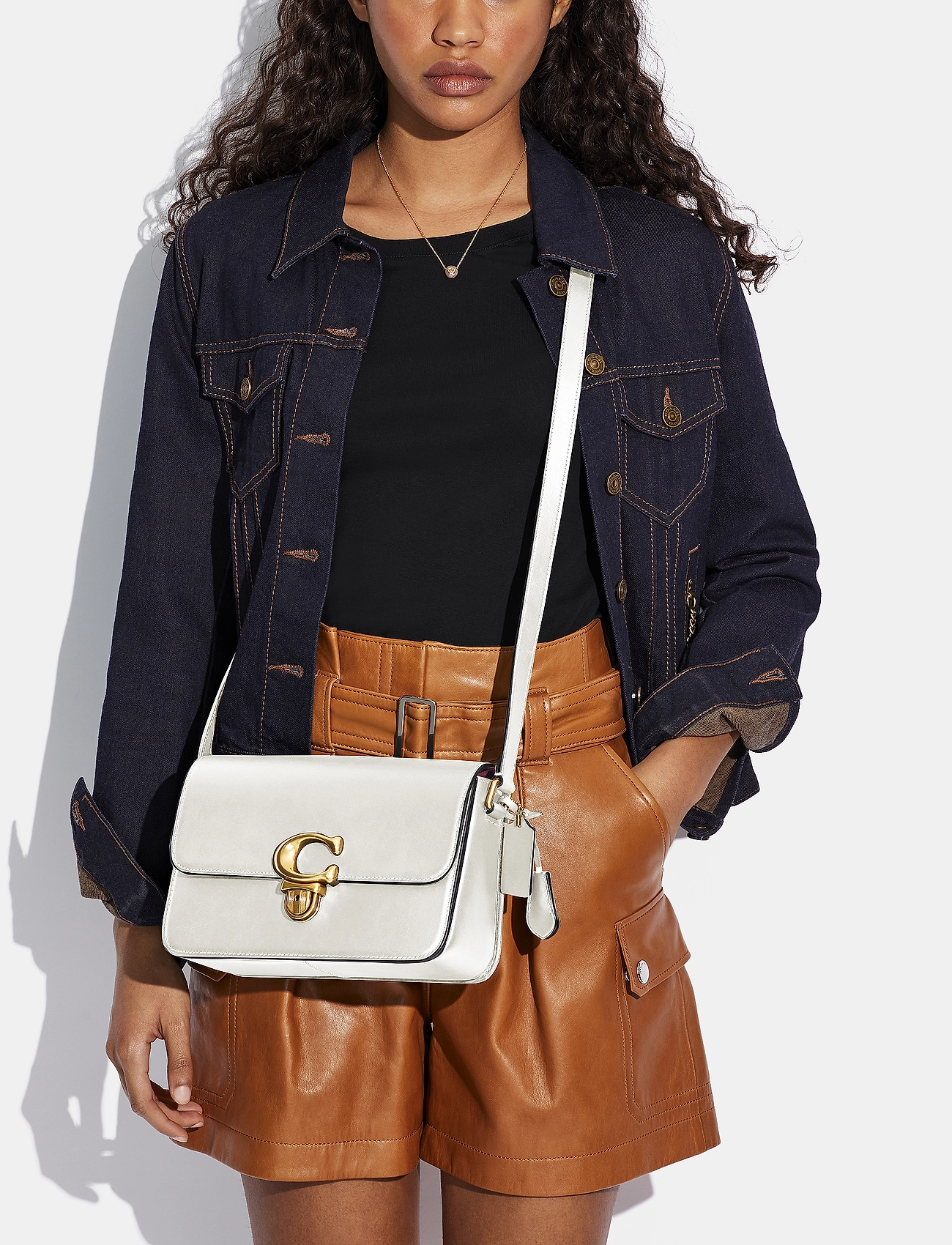 coach zoe shoulder bag