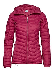 powder pass hooded jacket