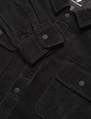 converse button down shirt