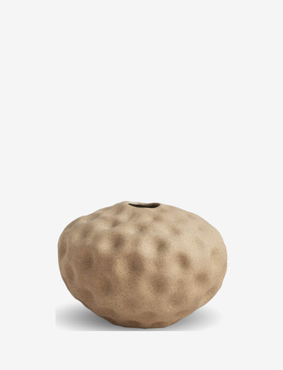 Seedpod 10cm