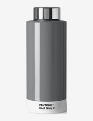 THERMO DRINKING BOTTLE - COOL GREY 009