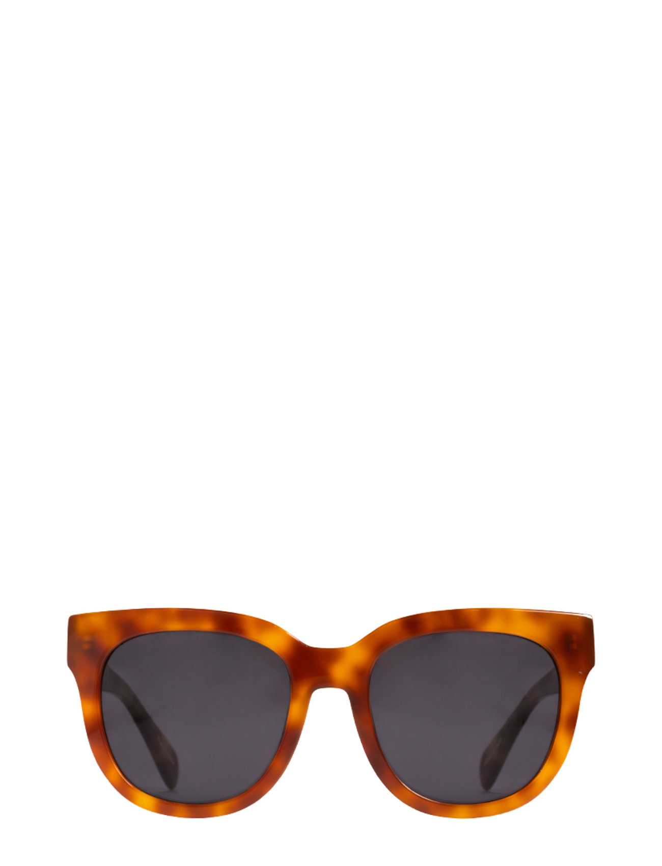 Monza Havana Black Black Corlin Eyewear